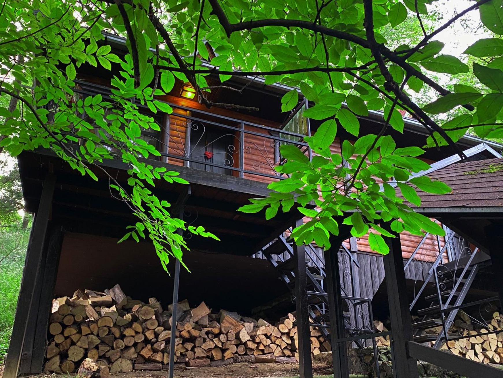 Appartamento Oaza Prirode, Brvnare Platan Vrdnik Esterno foto