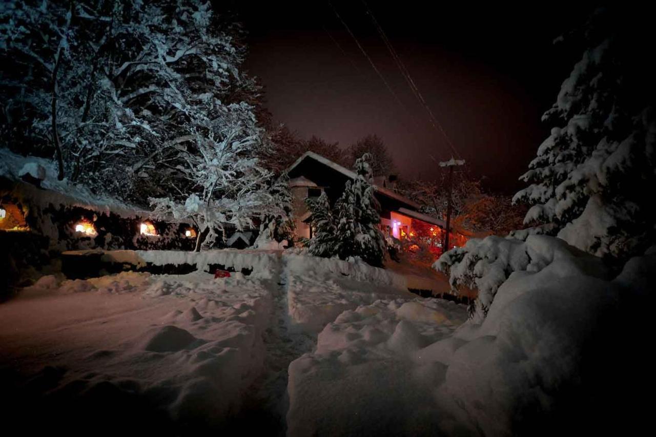Appartamento Oaza Prirode, Brvnare Platan Vrdnik Esterno foto