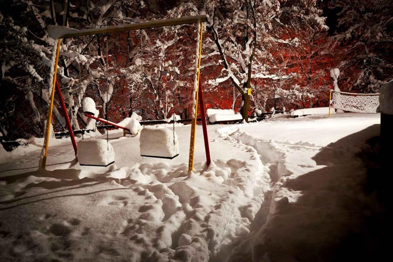 Appartamento Oaza Prirode, Brvnare Platan Vrdnik Esterno foto